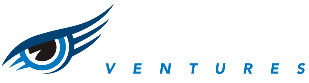 Falcon Eye Ventures